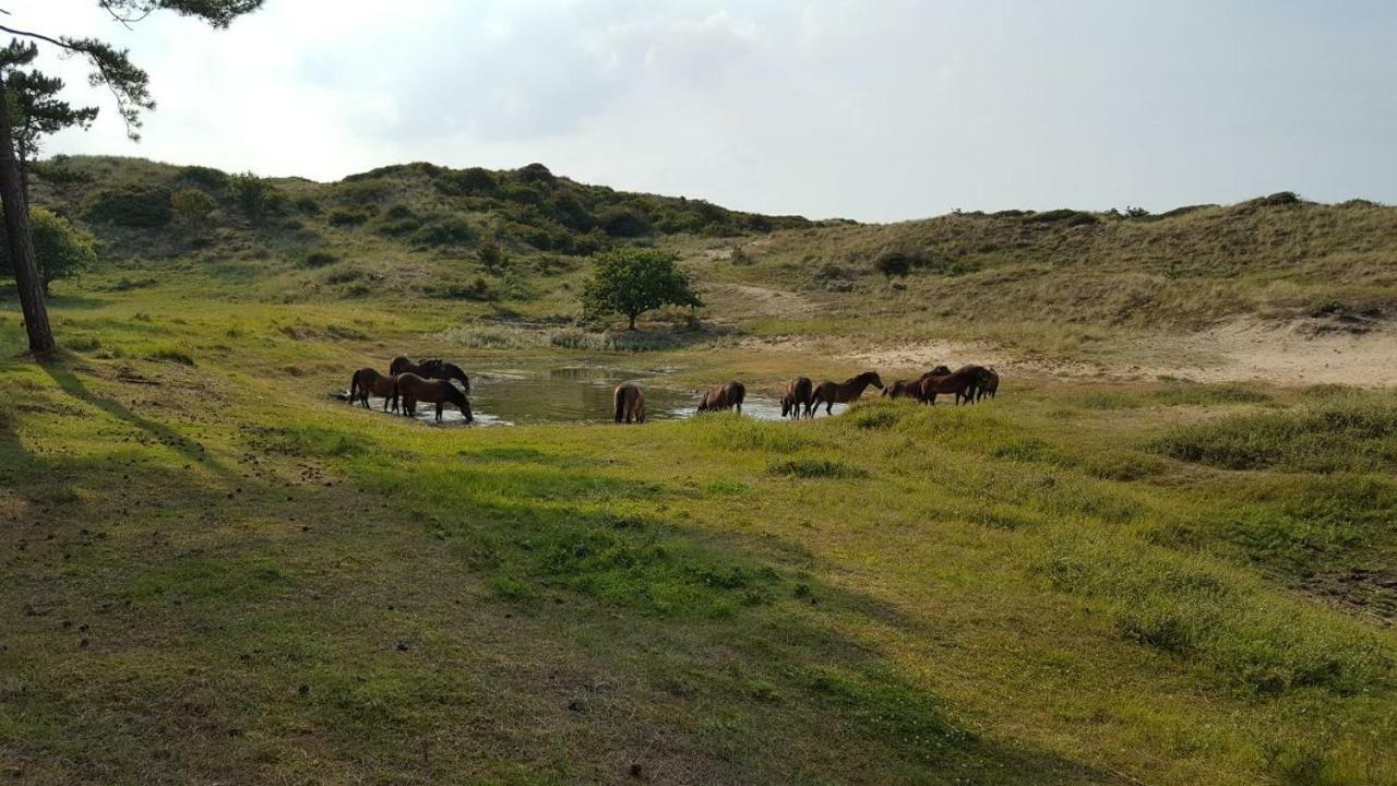 Vrijstaande Blokhut Villa Egmond-Binnen Eksteriør billede